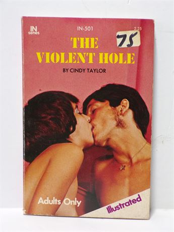 The Violent Hole by Cindy Taylor, Paperback Novel 1974 In Series IN-501 061225WP2-82