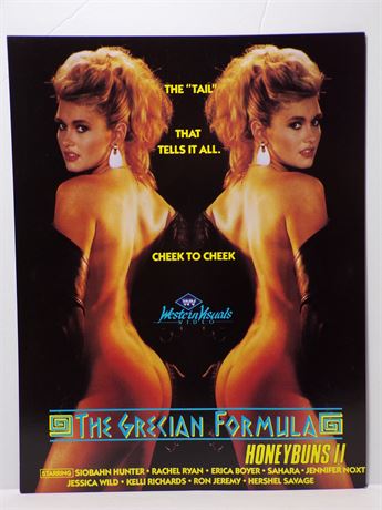 Siobahn Hunter Ron Jeremy in The Grecian Formula Honeybuns 2 Video Promo Slick Ad Sheet 061925WP-50