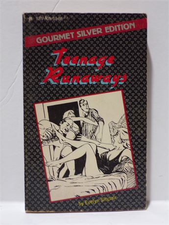 Teenage Runaways by Evelyn Sinclair, Paperback Book 1984 American Art GSV-105 091025WP-62