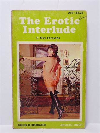 The Erotic Interlude by C Guy Forsthe, 216 Paperback Book Illustrated Vintage 052825WP