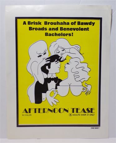 "Afternoon Tease" 1970's Sexploitation Film Press Kit Single Sheet 060425WP-141