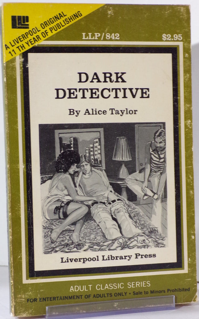 Dark Detective by Alice Taylor LLP/842 Adult Paperback Book 080326VFP-56
