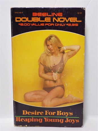 Desire For Boys/Reaping Young Joys, 1978 Beeline Double Novel DN6148-A 071125WP-30
