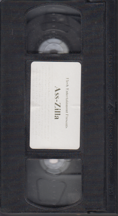 VHS Ass-Zilla 2001 Flesh Entertainment 061223EBVHS