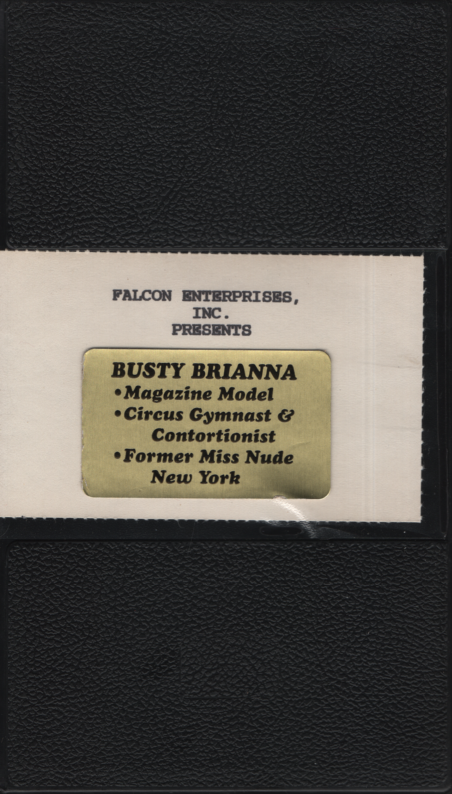 VHS Busty Brianna Formerly TitsiAnna 1980s Falcon Enterprises Inc 072023EBVHS