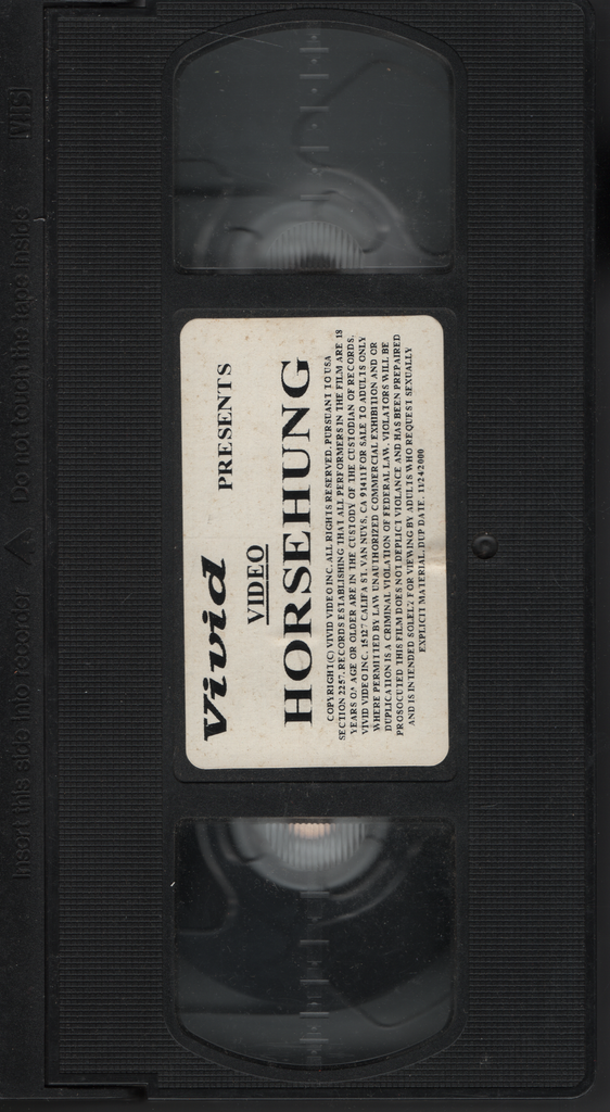 VHS Horsehung 2000 Vivid Video 011224EBVHS2