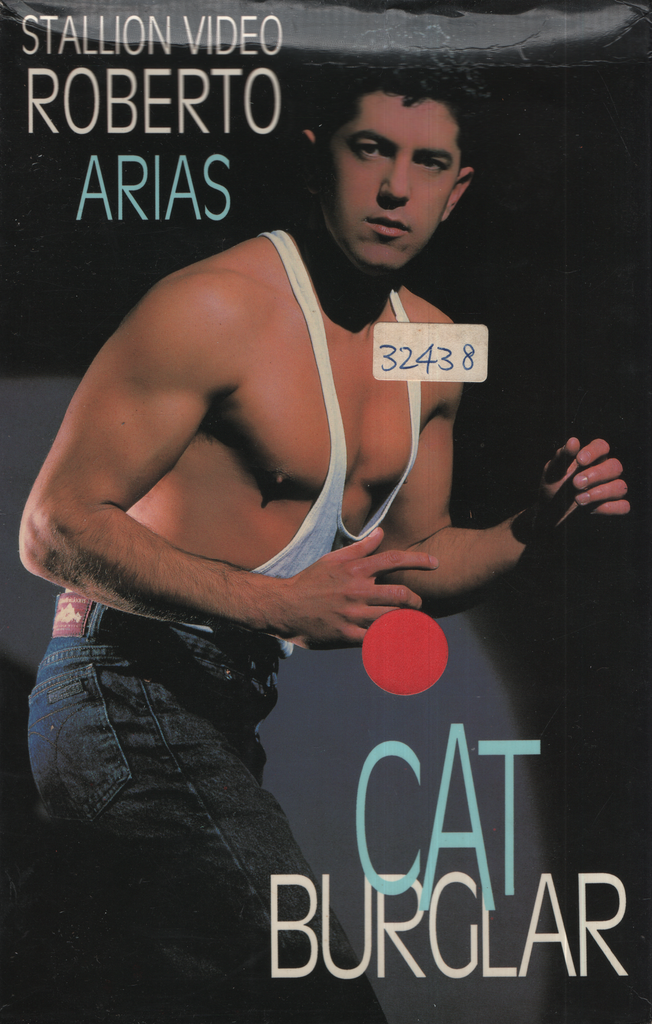 Gay VHS Cat Burglar Roberto Arias Gino Colbert 1990 Stallion Video 011624EBVHS2