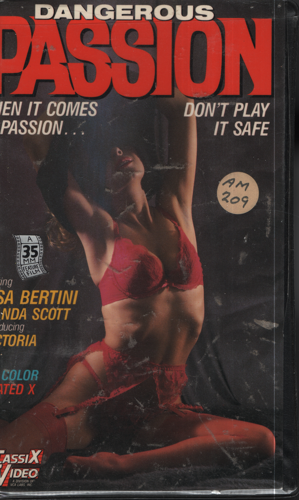 Straight VHS Dangerous Passion Lisa Bertini Wanda Scott 1985 VCA Pictures Inc 012624EBVHS2