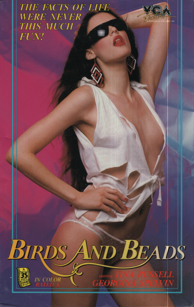 Bisexual VHS Birds And Beads Tina Russell Georgina Spelvin 1985 VCA Pictures 012624EBVHS3