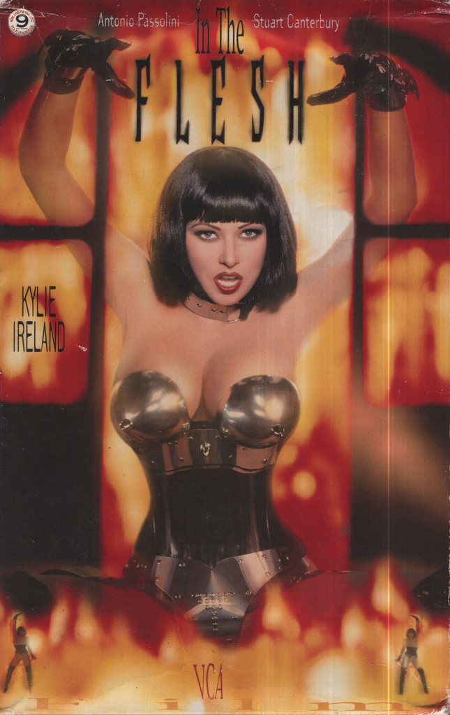 Bisexual VHS In the Flesh Kylie Ireland Mike Horner 1999 VCA Pictures 020124EBVHS2