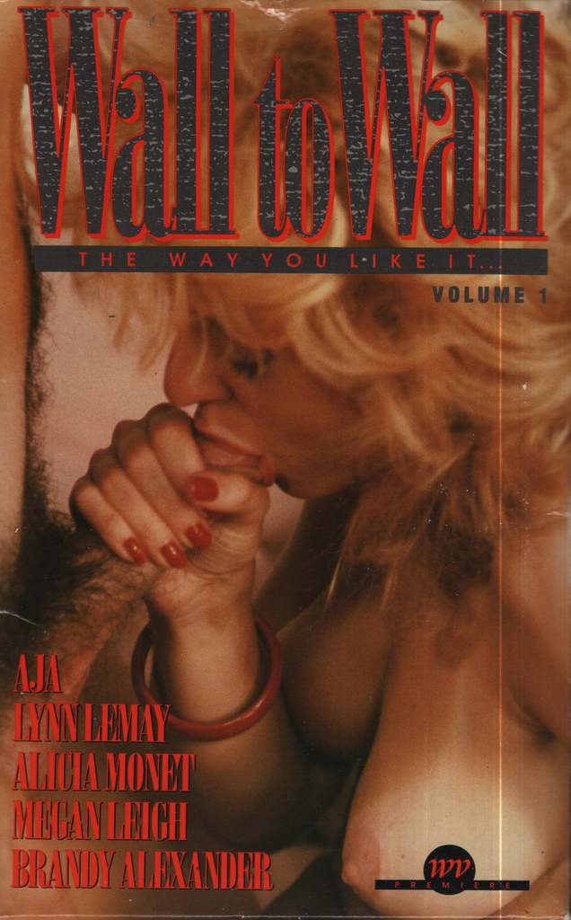 Straight VHS Wall To Wall Volume 1 Aja Lynn LeMay 1980s Western Visuals 020224EBVHS2