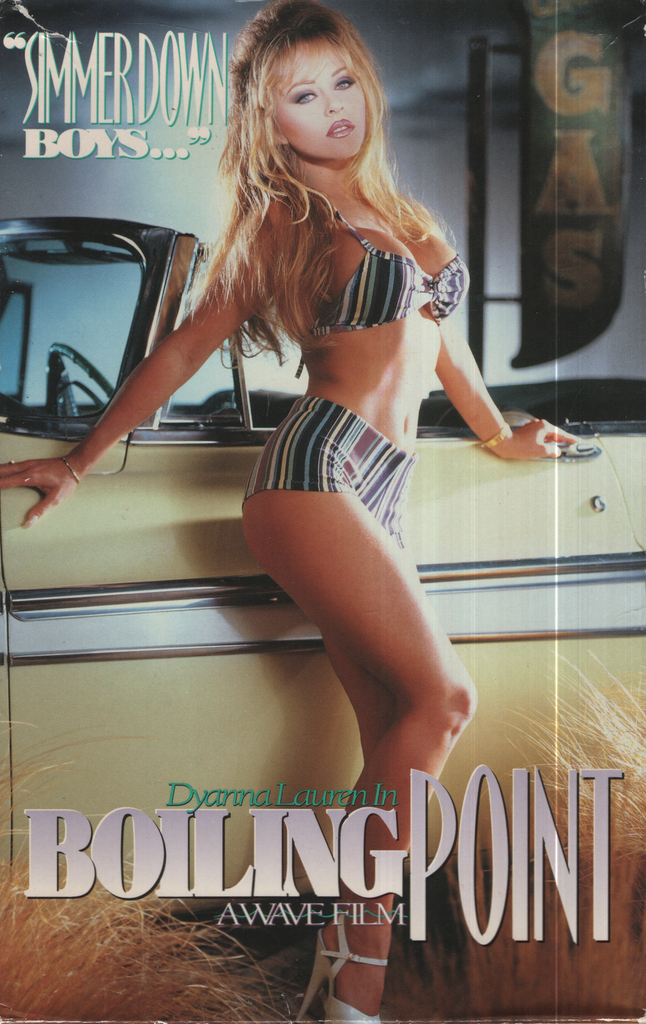 Bisexual VHS Boiling Point Dyanna Lauren Kaitlyn Ashley 1990s Wave Video 020224EBVHS3