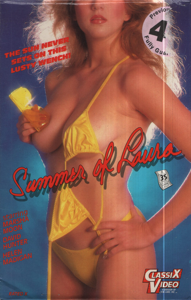 Straight VHS Summer Of Laura Marsha Moon David Hunter 1987 VCA Pictures 021524EBVHS2