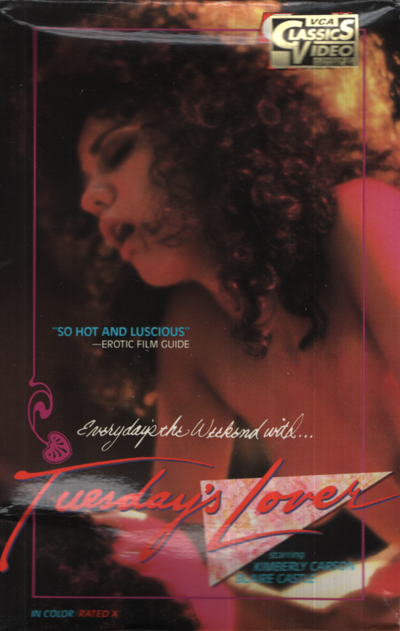 Tuesday's Lover Kimberly Carson Blaire Castle Producer's Concepts Straight VHS 1985 031324EBVHS3