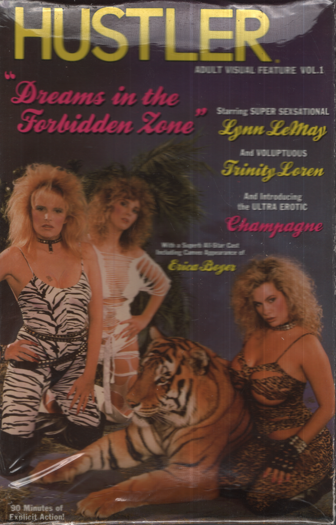 Dreams In The Forbidden Zone Lynn LeMay Film Partners International SA Straight VHS 1988 041824EBVHS2