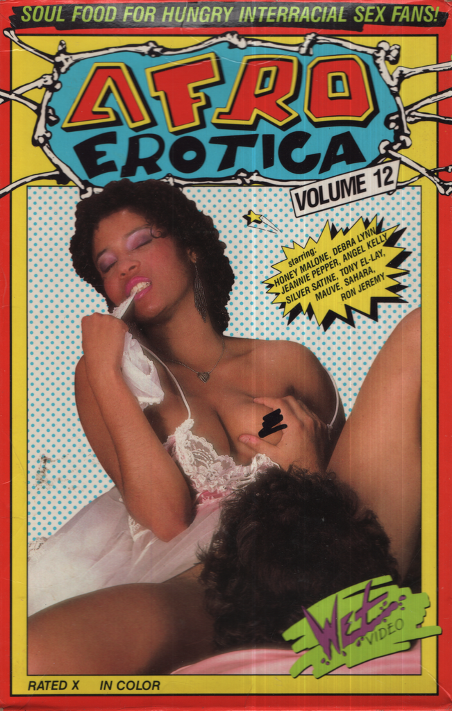 Afro Erotica Volume 12 Honey Malone Debra Lynn Wet Video Bisexual VHS 1987 042224EBVHS3
