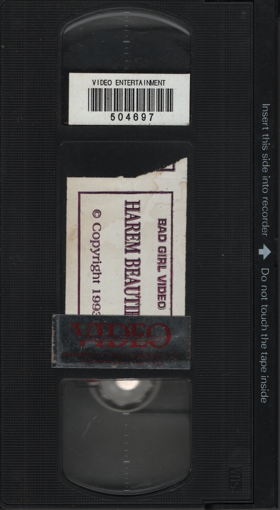 Harem Beauties Bad Girl Video Straight VHS 1993 042924EBVHS