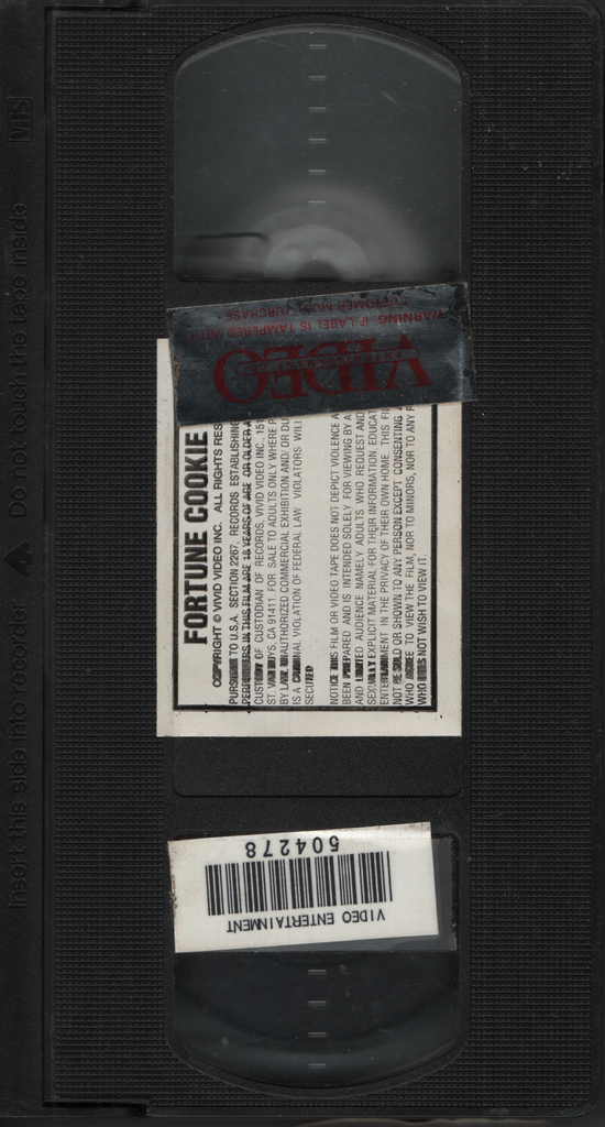 Fortune Cookie Vivid Video Straight VHS 1990s 042924EBVHS