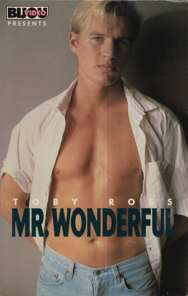 Mr. Wonderful Images Of The World Gay VHS 1987 043024EBVHS3