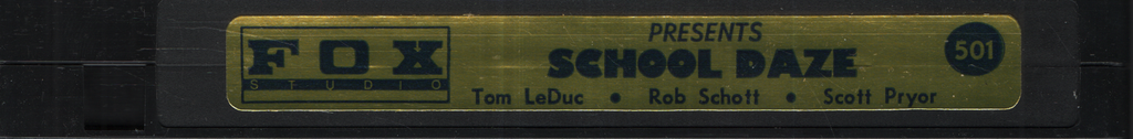 School Daze Tom LeDuc Rob Schott Fox Studio Gay VHS 1990s 043024EBVHS