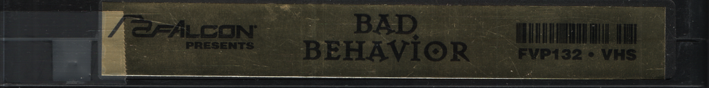 Bad Behavior Falcon Home Video Gay VHS 1990s 043024EBVHS