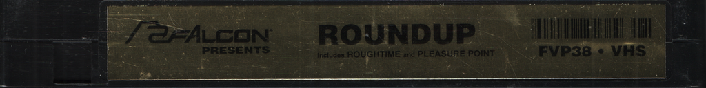 Roundup Falcon Home Video Gay VHS 1990s 050224EBVHS2