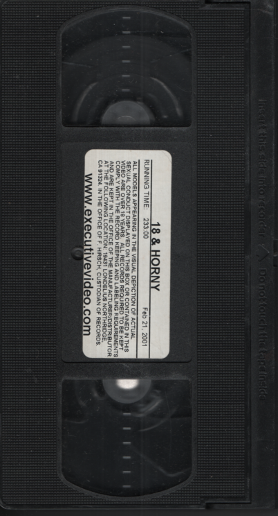 18 & Horny Executive Video Gay VHS 2001 050824EBVHS