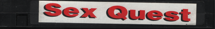 Sex Quest Unbranded Gay VHS 1990s 051024EBVHS