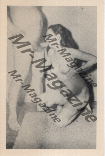 Adult Vintage B&W Postcard 3.5"x5.5" Brunette Model Fellatio RR-71