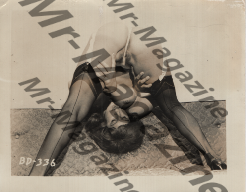 Adult Vintage B&W Pinup Photo 4"x5" Brunette Lingerie & Nylons Model RS-51