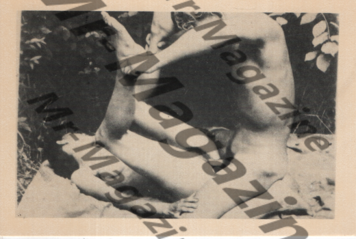 Adult Vintage 1960s B&W Postcard 3.5"x5.5" Outdoors Vaginal Sex RR-90