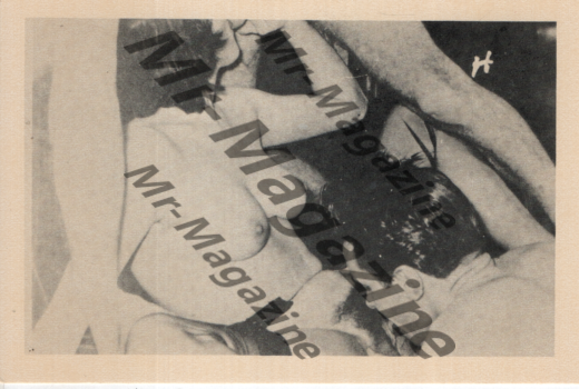 Adult Vintage 1960s B&W Postcard 3.5"x5.5" Orgy With Brunette Model RS-06