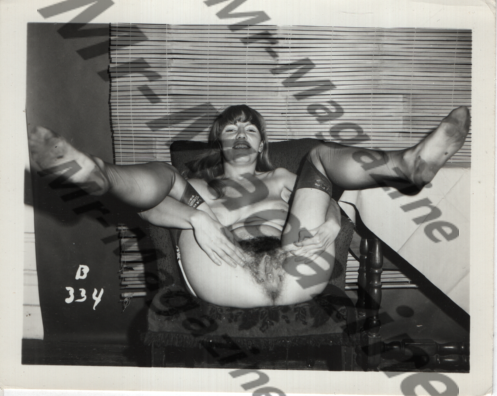Adult Vintage B&W Pinup Photo 4"x5" Brunette Lingerie & Nylon Stockings Model RT-09