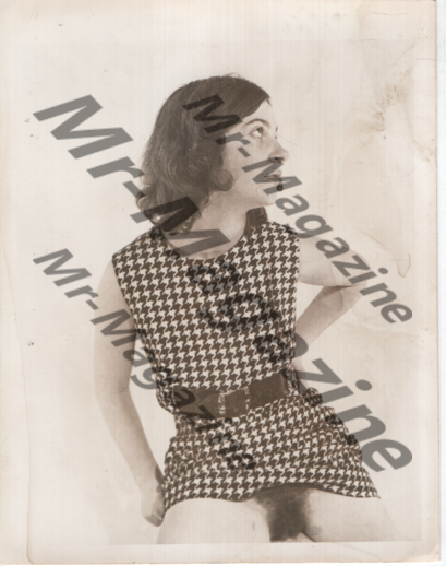 Adult Vintage B&W Pinup Photo 4"x5" Brunette Model In Houndstooth Dress RT-58