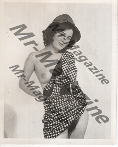 Adult Vintage B&W Pinup Photo 4"x5" Brunette Model In Houndstooth Dress RT-59