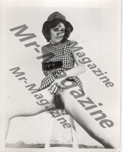 Adult Vintage B&W Pinup Photo 4"x5" Brunette Model In Houndstooth Dress RT-61