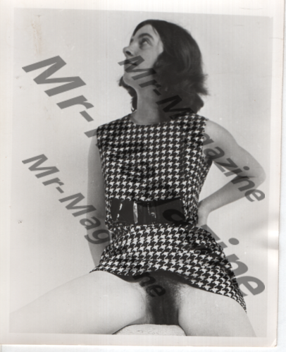Adult Vintage B&W Pinup Photo 4"x5" Brunette Model In Houndstooth Dress RT-62