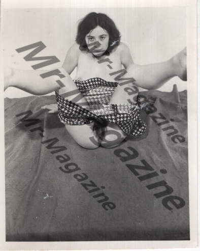 Adult Vintage B&W Pinup Photo 4"x5" Brunette Model In Houndstooth Dress RT-65