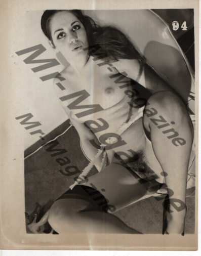 Adult Vintage B&W Pinup Photo 4"x5" Brunette Lingerie Nylon Stockings Model RT-72