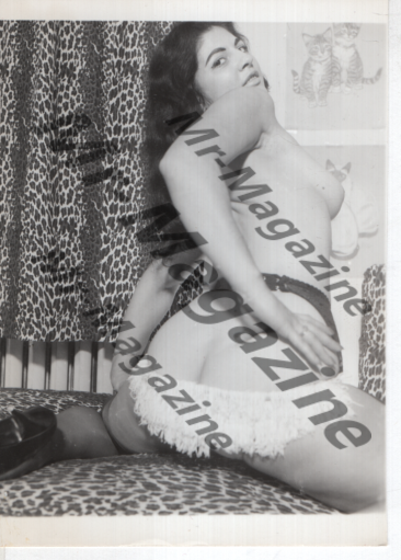 Adult Vintage B&W Pinup Photo 5"x4" Brunette Lingerie Model RU-86