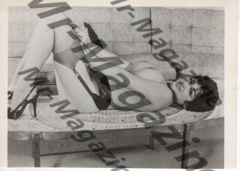 Adult Vintage B&W Pinup Photo 5"x4" Brunette Lingerie Model RU-48