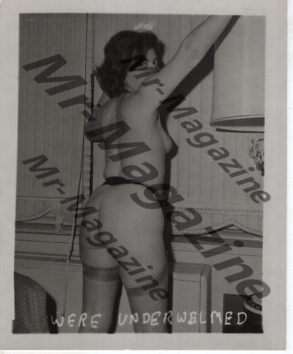 Adult Vintage B&W Pinup Photo 5"x4" Brunette Lingerie Model We're Underwhelmed RU-70