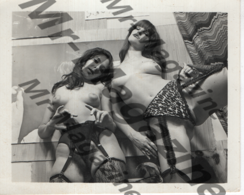 Adult Vintage B&W Pinup Photo 5"x4" Brunette Lingerie Models RU-94