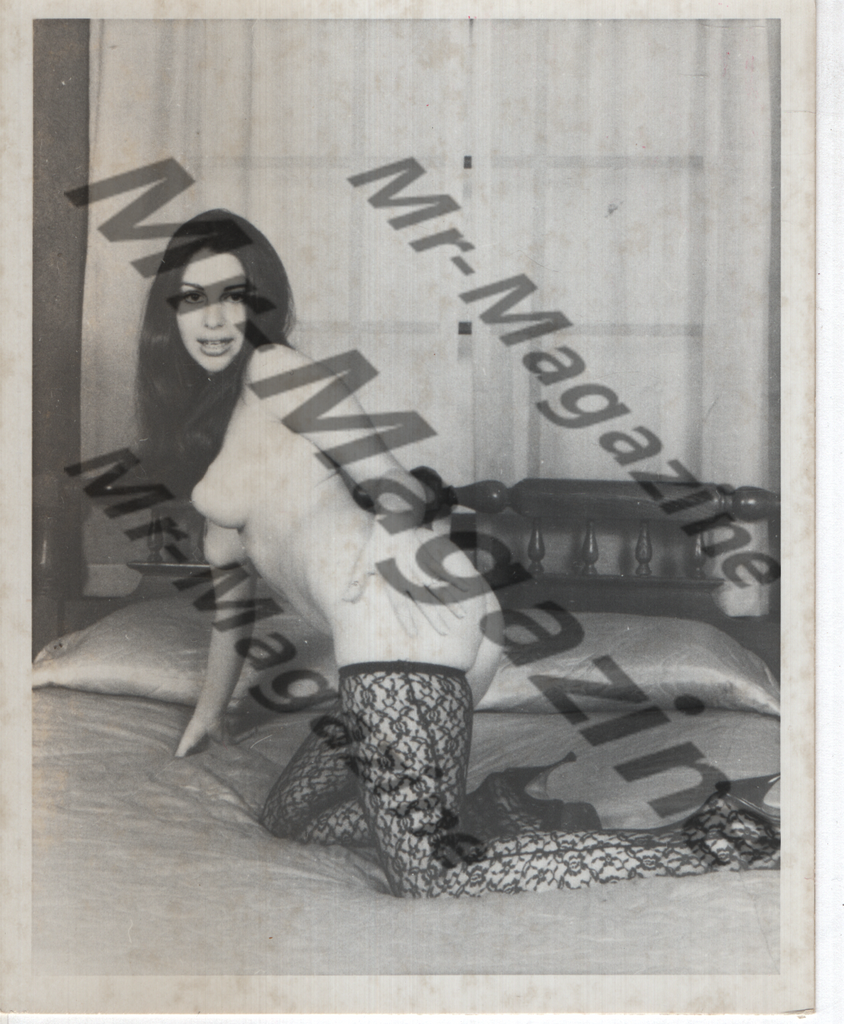 Adult Vintage B&W Pinup Photo 4"x5" Brunette Lace Stockings Model RW-42