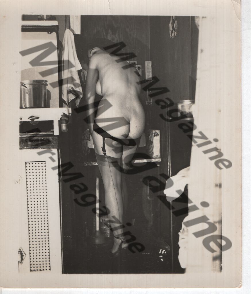Adult Vintage B&W Pinup Photo 4"x5" Brunette Lingerie & Nylons Model RW-46