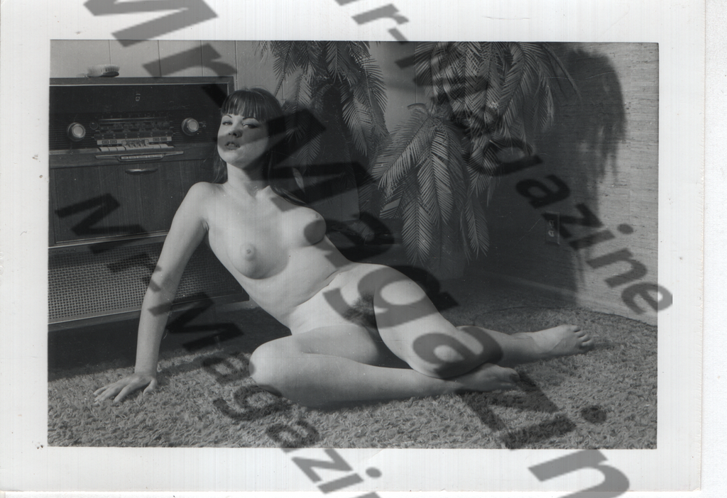 Adult Vintage B&W Pinup Photo 4"x5" Brunette Nude Model RX-67