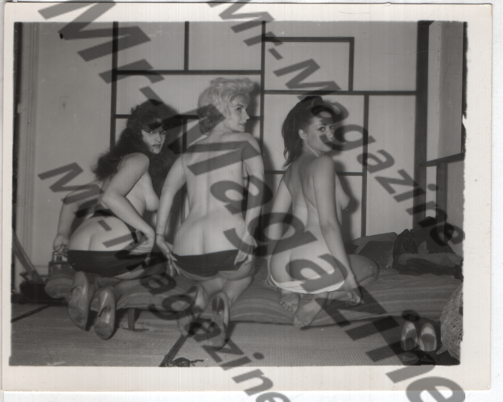 Adult Vintage B&W Pinup Photo 4"x5" Brunette & Blonde Lingerie Models Striptease RY-21