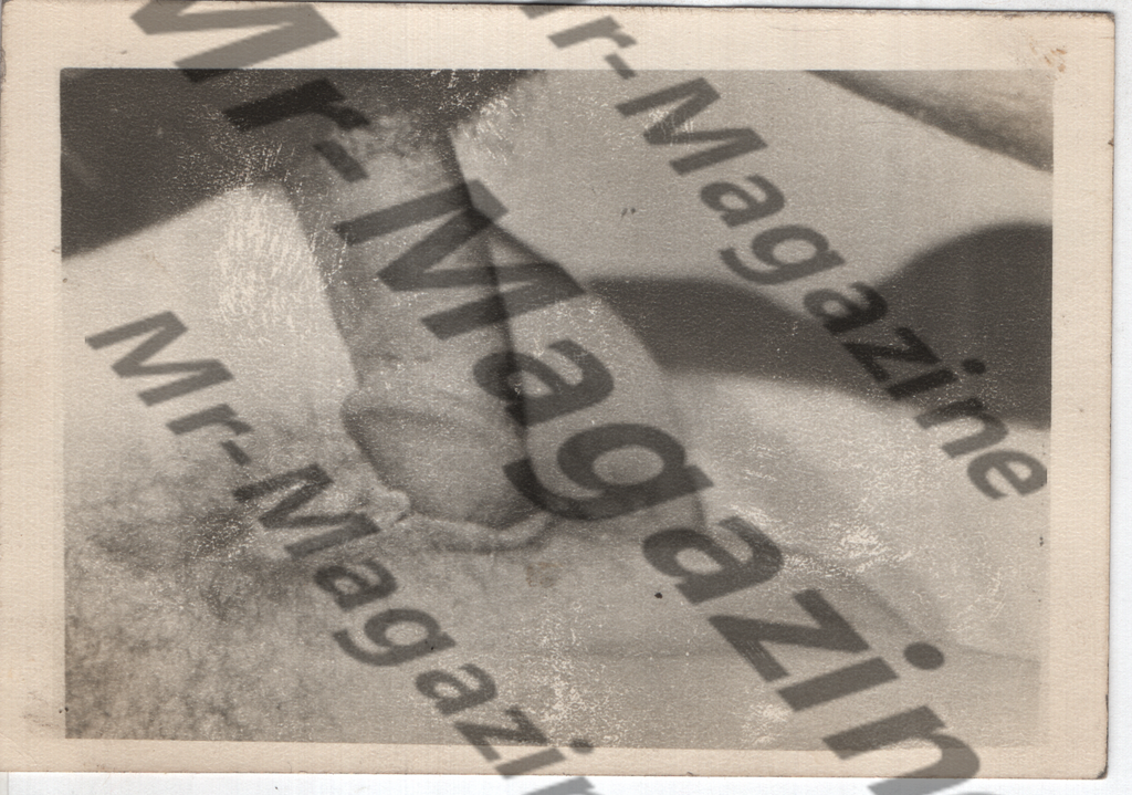 Adult Vintage B&W Pinup Photo 4"x5" Straight Interest Extreme Closeup Vaginal Sex RX-93