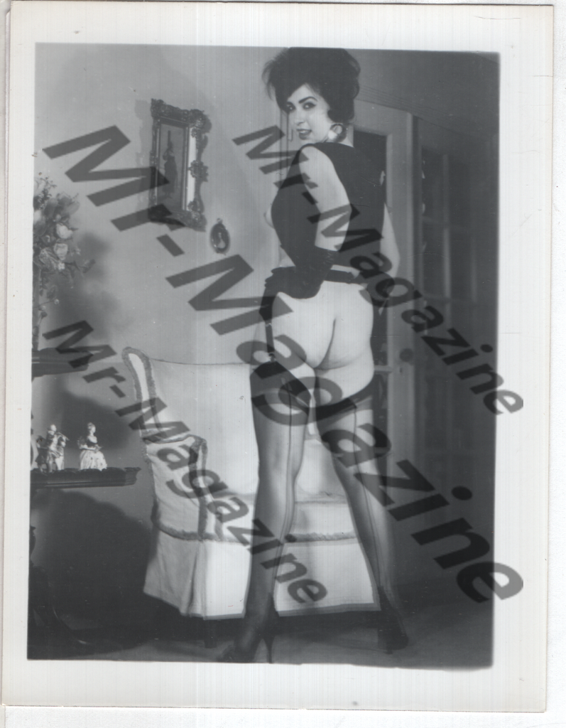 Adult Vintage B&W Pinup Photo 4"x5" Brunette Lingerie & Nylon Stockings Model RZ-21