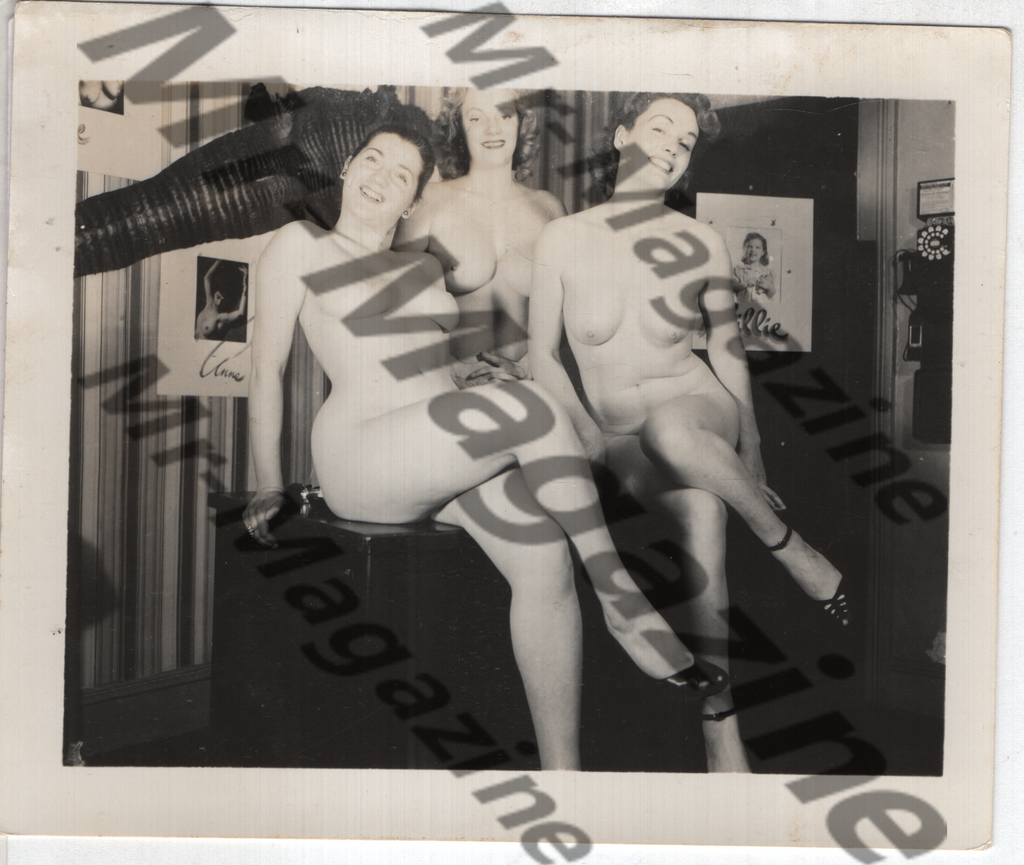 Adult Vintage B&W Pinup Photo 4"x5" Brunette & Blonde Nude Models RZ-08